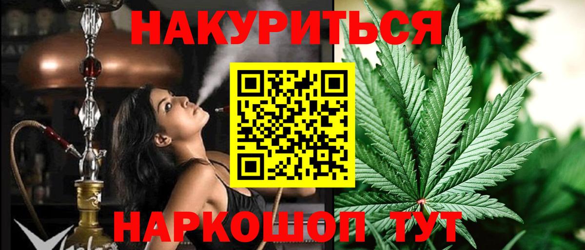 Каннабис сатива Ставрополь